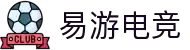 易游电竞(中国)官方网站 - YIYOU ESPORTS